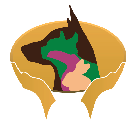 Hamilton Road Animal Hospital Veterinarians serving London